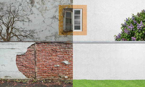 Reliable Blandon, PA Mold Removal Solutions